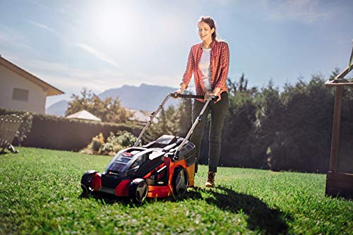 Einhell Akku-Rasenmäher GE-CM 43 Li M Kit Power X-Change (36V, 43 cm Schnittbreite, bis 600 m², Brushless, Mulch-Kit, 63L Fangkorb