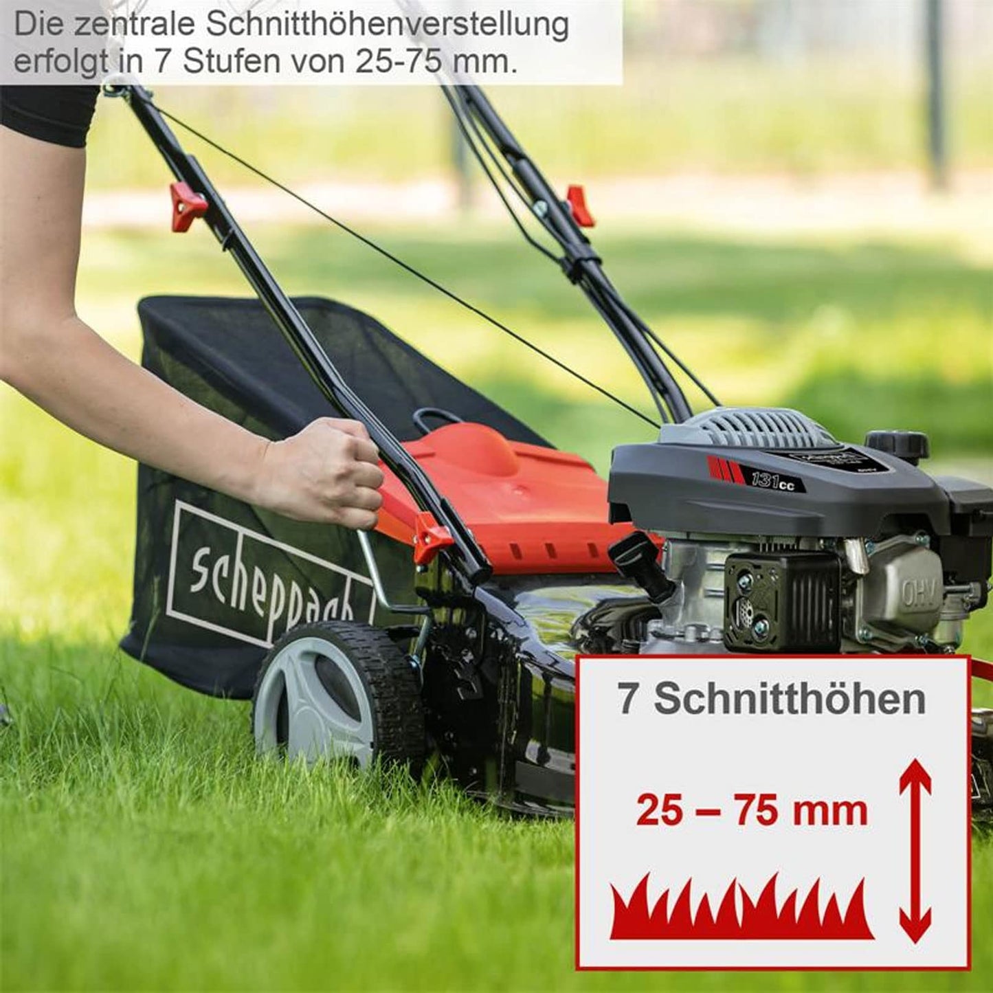 Scheppach Rasenmäher RM420 3in1-3,4PS | Schnittbreite 420mm | 45L Fangkorb | Schnitthöhenverstellung 25-75 mm | inkl. Motoröl & Ersatzmesser