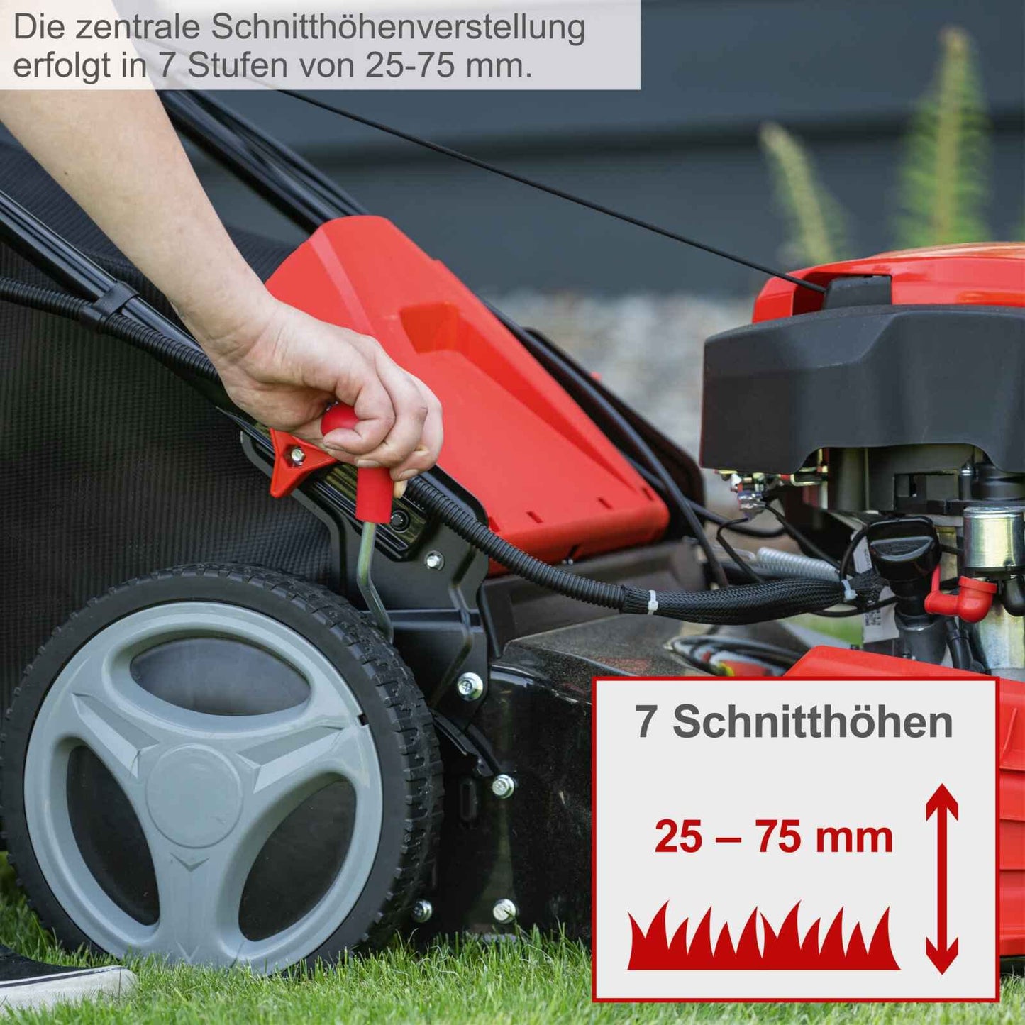 Scheppach Benzin Rasenmäher MS225-53E mit E-Start | Radantrieb | 6PS | 53 cm Schnittbreite | 7-fache Höhenverstellung | 65 Liter Fangkorb